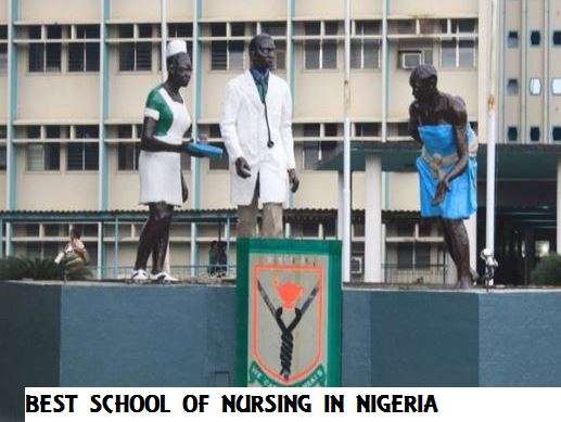 List of Top Best School of Nursing In Nigeria (2020 Ranking)