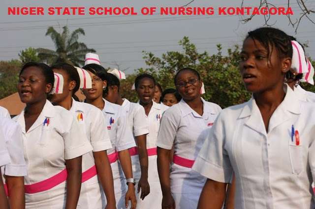 Niger State School of Nursing School Fees For Fresh Students 2024/2025 Session