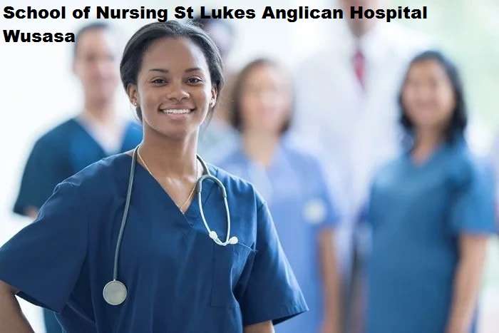 School of Nursing St Lukes Anglican Hospital Wusasa 2024/2025 School Fees For Freshers